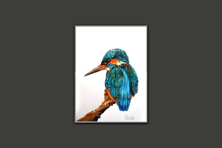 Eisvogel