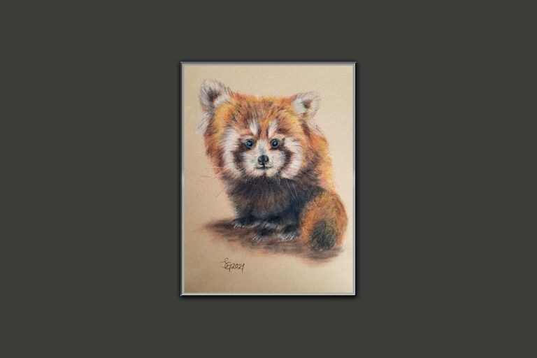 Kleiner Panda