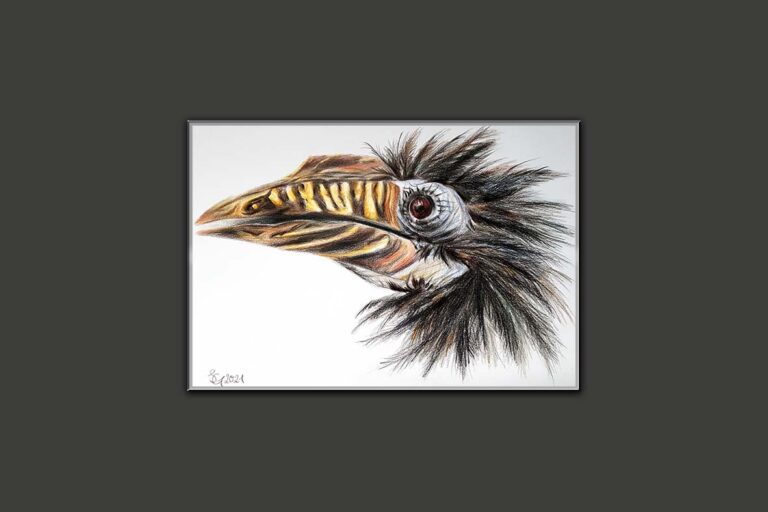 Hornvogel