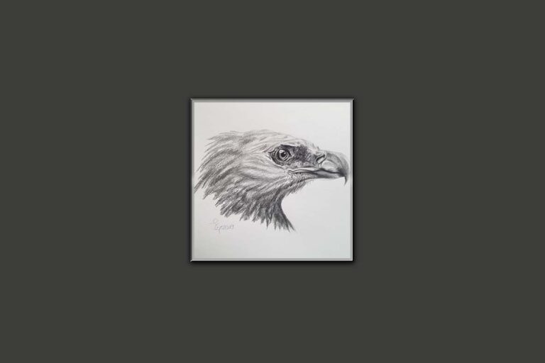 Adler